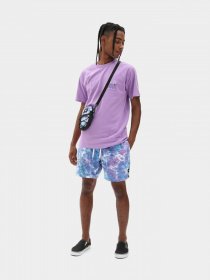 Футболки и поло Vans Off The Wall Classic Graphic модель VN0A54BVZ711 Футболки и поло Vans Off The Wall Classic Graphic модель VN0A54BVZ711 Фото