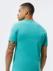 Футболки и поло Vans Authentic Checker модель VN0A54D1Z6R1 Фото