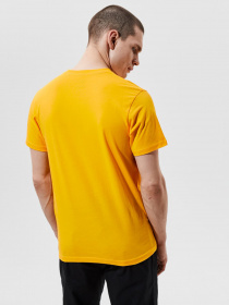 Футболки и поло Vans OTW модель VN000JAYZ5M1 Футболки и поло Vans OTW модель VN000JAYZ5M1 Фото