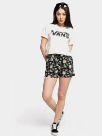 Футболки і поло Vans Blozzom Roll Out модель VN0A53Q2FS81 Фото