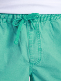 Шорти Vans RANGE SALT WASH модель VN0A54E3Z6R1 Фото