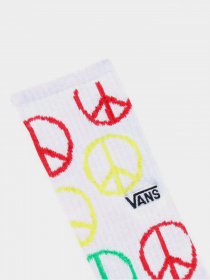 Шкарпетки та гольфи Vans Tyson Peterson модель VN0A5FIZWHT1 Фото