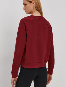 Свитшот Vans Flying V Ft Boxy Crew модель VN0A47THZBS1 Фото