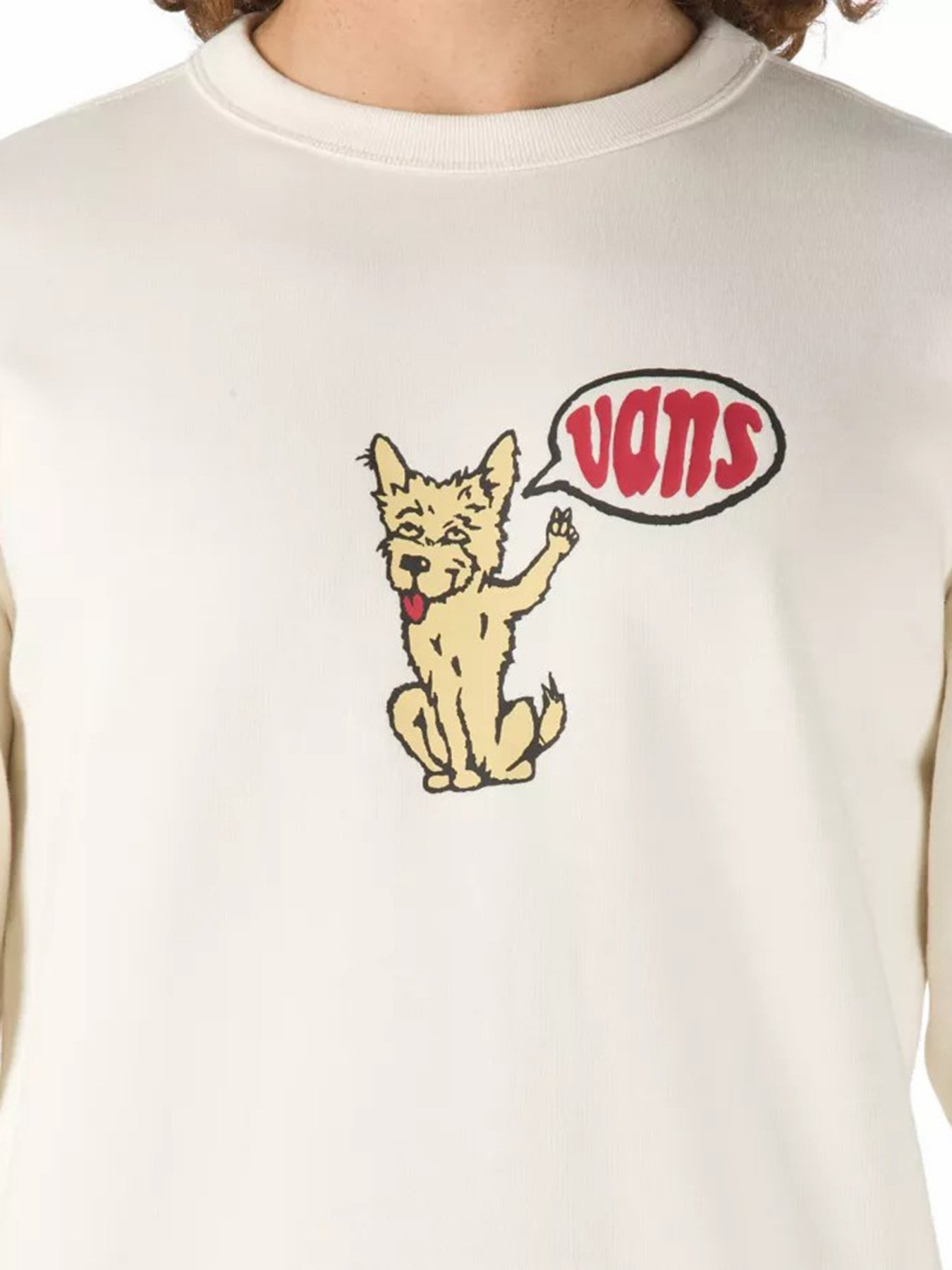 Свитшот Vans Tyson Peterson Versa модель VN0A5KDTZ881 Фото