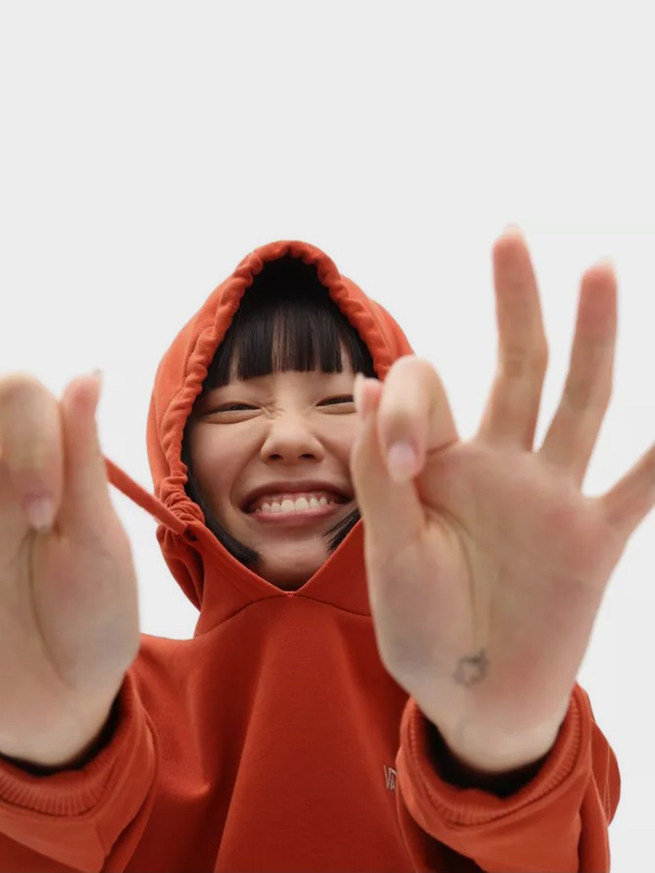 Худі Vans Flying V Bff Ft Hoodie модель VN0A5AR490W1 Фото