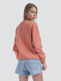 Свитшот Vans Flying V Bff Ft Crew модель VN0A5AQ1YZO1 Фото