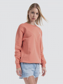 Свитшот Vans Flying V Bff Ft Crew модель VN0A5AQ1YZO1 Фото