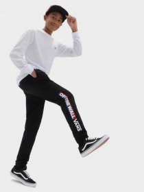 Штаны спортивные Vans Easy Logo Fleece Pant модель VN0A5FMZBLK1 Штаны спортивные Vans Easy Logo Fleece Pant модель VN0A5FMZBLK1 Фото