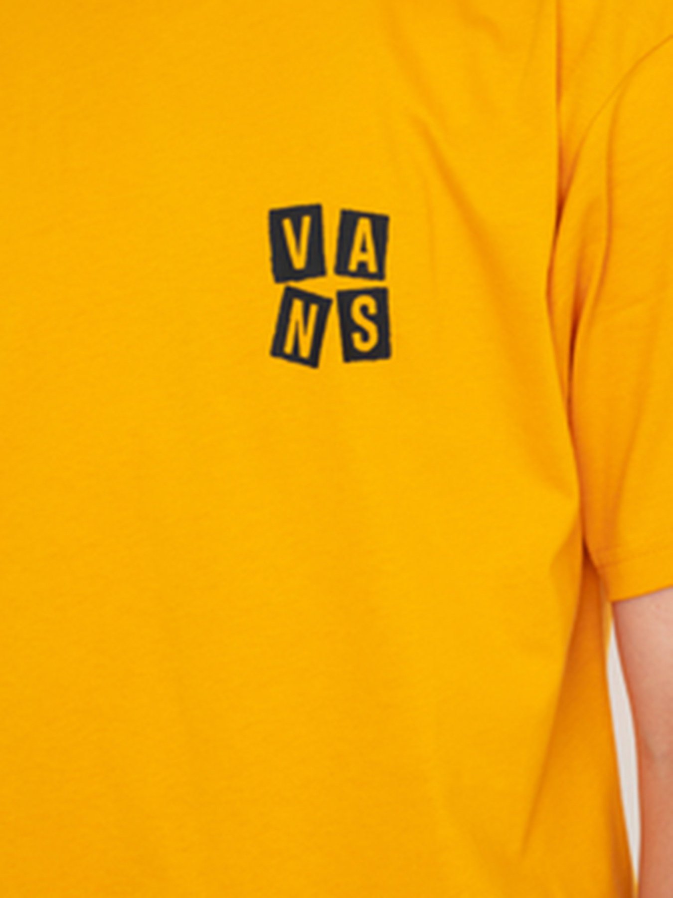 Футболки і поло Vans Crawling  модель VN0A5KCGLSV1 Фото