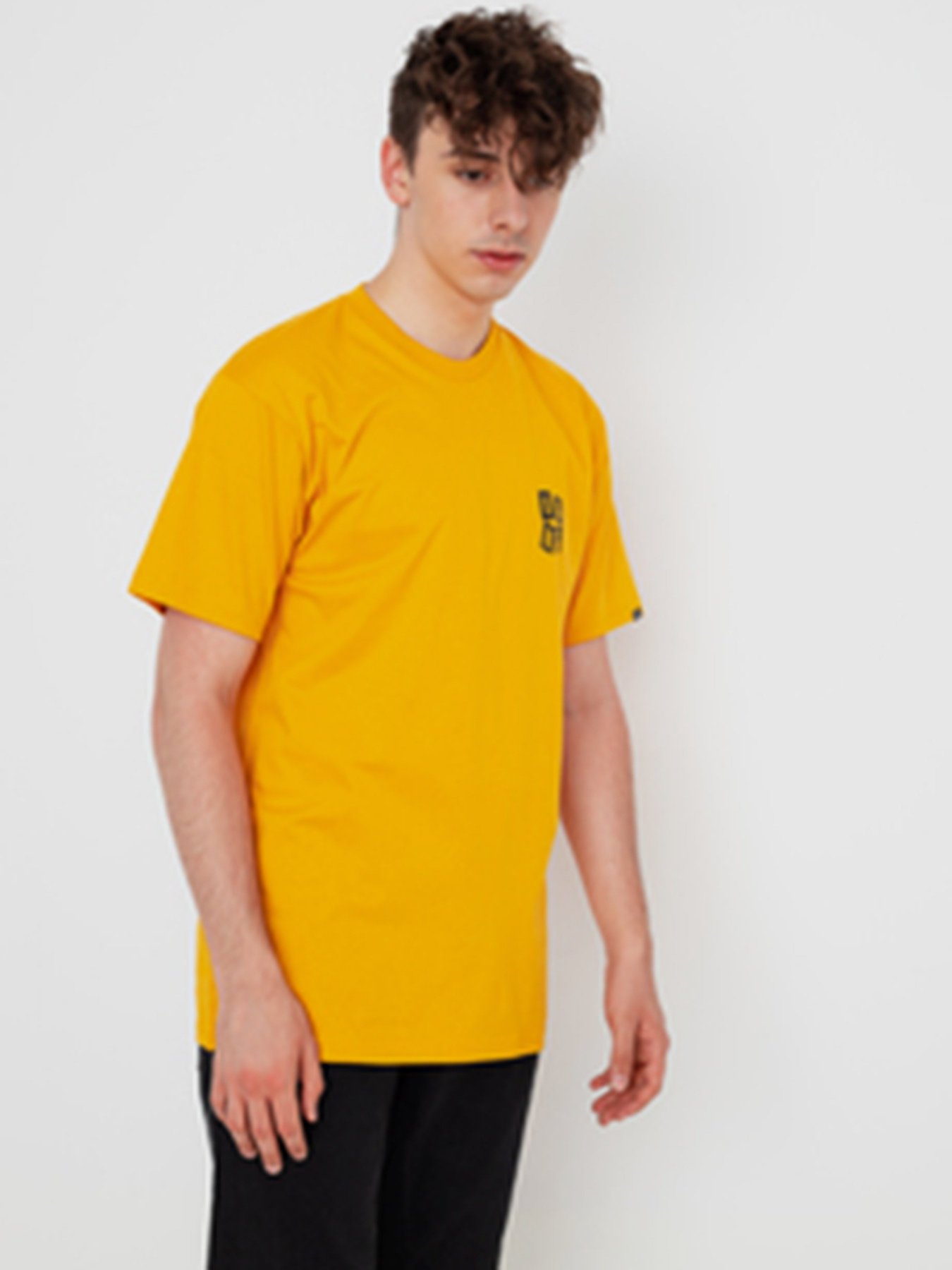 Футболки і поло Vans Crawling  модель VN0A5KCGLSV1 Фото