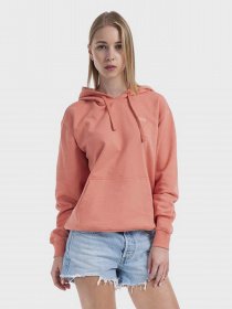 Худи Vans Flying V Bff Ft Hoodie модель VN0A5AR4YZO1 Фото