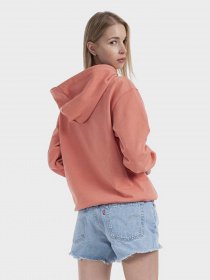 Худи Vans Flying V Bff Ft Hoodie модель VN0A5AR4YZO1 Фото