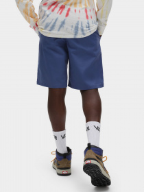 Повсякденні шорти Vans Authentic модель VN0A5FJX5TU1 Фото