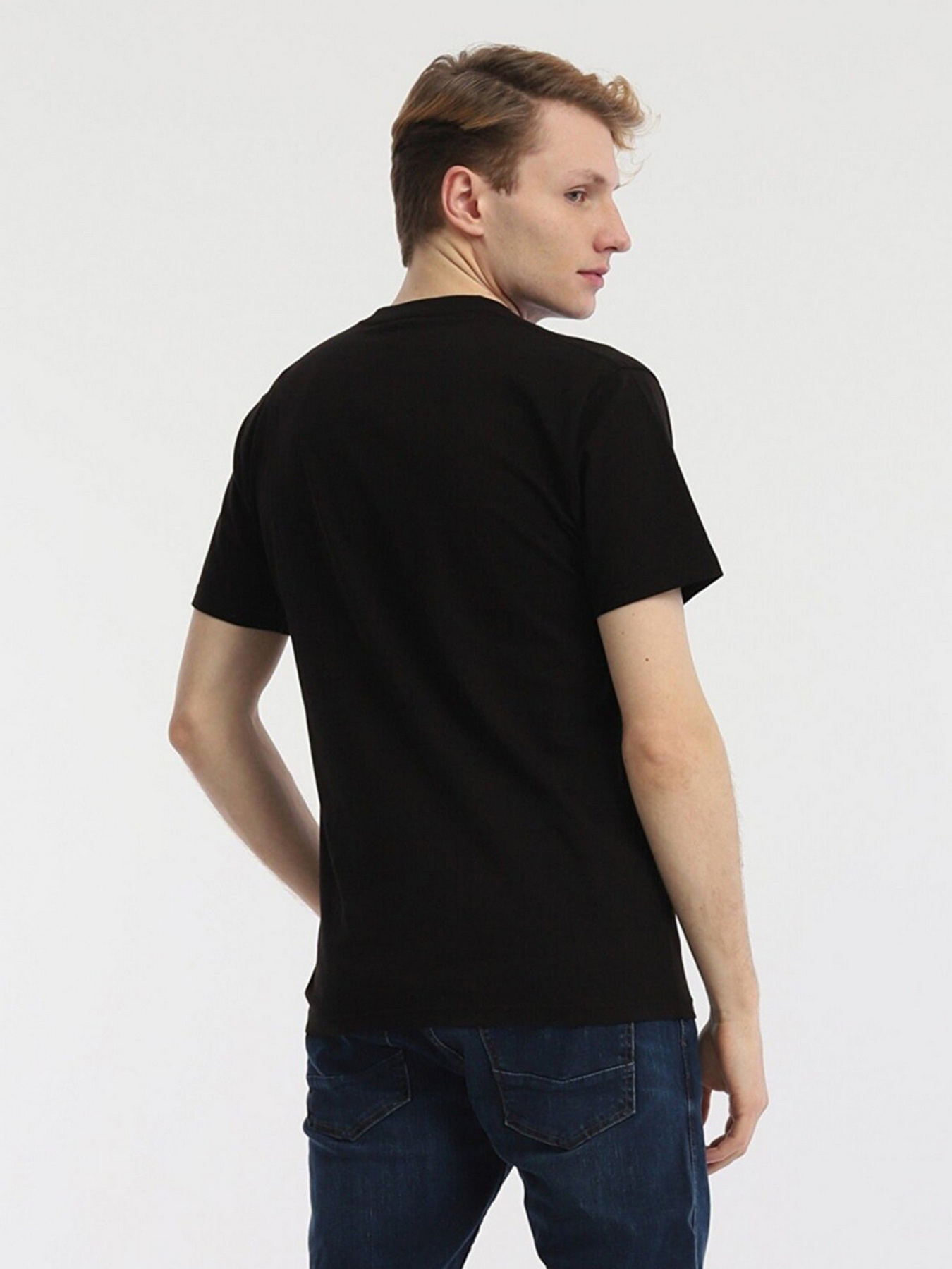 Футболки и поло Vans Drop V модель VN0A5HMHY281 Фото