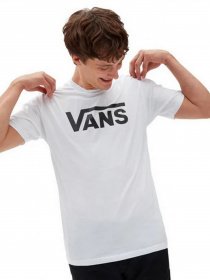 Футболки и поло Vans Drop V модель VN0A5HMHYB21 Фото