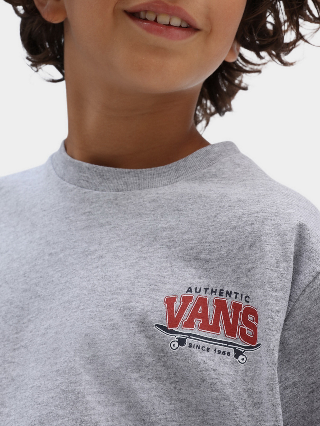 Футболки и поло Vans Sk8 Horizon Ss Athletic Heather модель VN0A7SI6ATH1 Фото