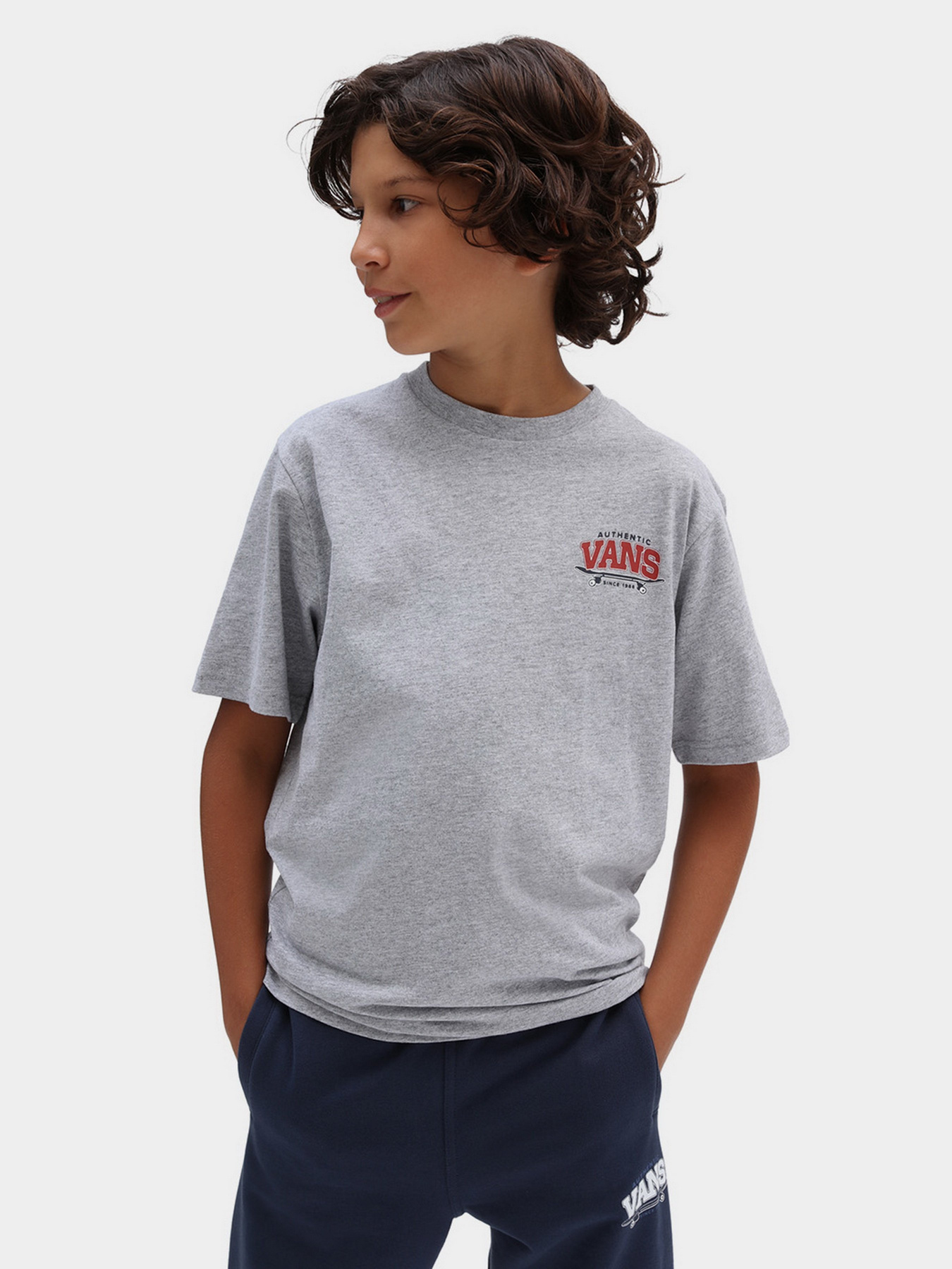 Футболки и поло Vans Sk8 Horizon Ss Athletic Heather модель VN0A7SI6ATH1 Фото