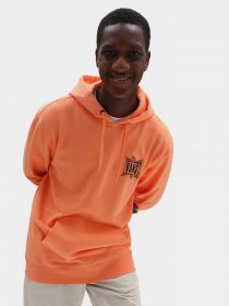 Худи Vans Palm Tree модель VN0A7PYAYST1 Фото