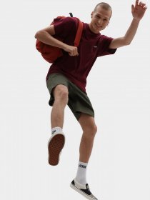 Футболка Vans Left Chest Logo модель VN0A3CZEBRG1 Фото