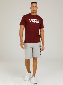 Футболки и поло Vans Drop V модель VN0A5HMHKG21 Фото