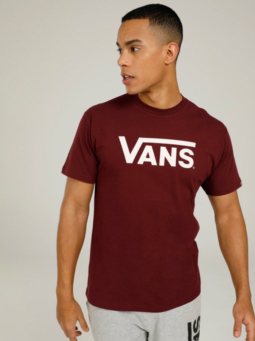 Футболки и поло Vans Drop V модель VN0A5HMHKG21 Фото