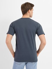 Футболка Vans Drop V модель VN0A5HMHZ2X1 Фото