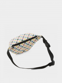 Поясна сумка Vans Traveler Модель VN0A5GUOY0G1 Фото