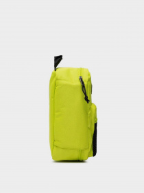 Сумка Vans New Skool Lunch модель VN0A7PT2O991 Фото