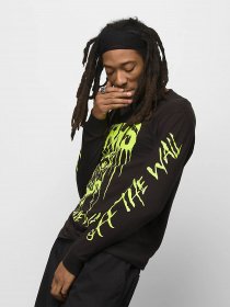 Лонгслив Vans  GLARING EYES модель VN00001EBLK1 Фото