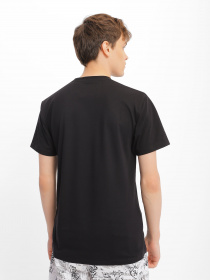 Футболка Vans Left Chest Logo Plus модель VN0A54TFF431 Фото