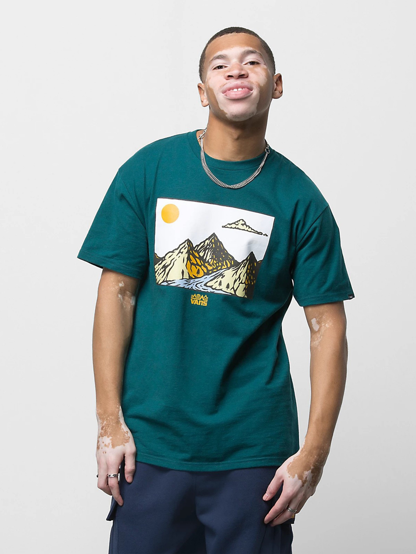 Футболка Vans Mountain модель VN0A7S6560Q1 Фото
