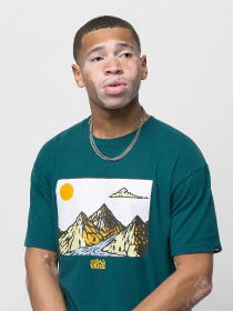 Футболка Vans Mountain модель VN0A7S6560Q1 Фото