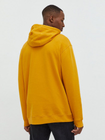 Худи Vans Classic Pullover II модель VN0A456BF3X1 Фото