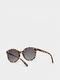 Сонцезахисні окуляри Vans Rise and Shine модель VN0A4DSWW641 Фото