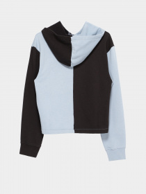 Худи Vans Block It модель VN0A7RU8BD21 Фото