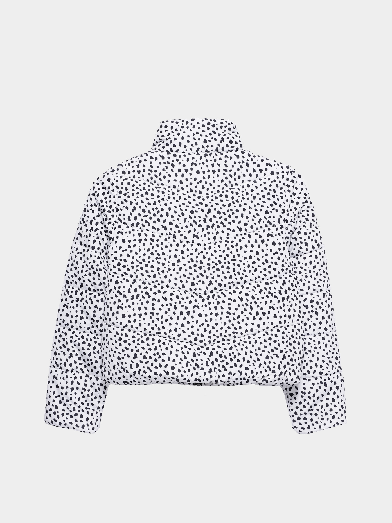 Демисезонная куртка Vans Foundry Puffer Print MTE модель VN0A7YVRY281 Фото