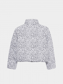 Демисезонная куртка Vans Foundry Puffer Print MTE модель VN0A7YVRY281 Фото