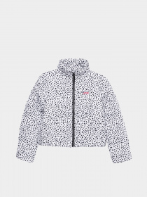 Демисезонная куртка Vans Foundry Puffer Print MTE модель VN0A7YVRY281 Фото