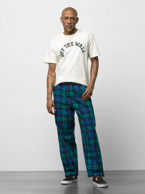 Повседневные штаны Vans Range Anaheim Baggy модель VN00000GY8Q1 Фото