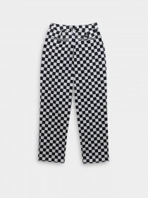 Повседневные штаны Vans Authentic Printed модель VN0A5JPN7051 Фото