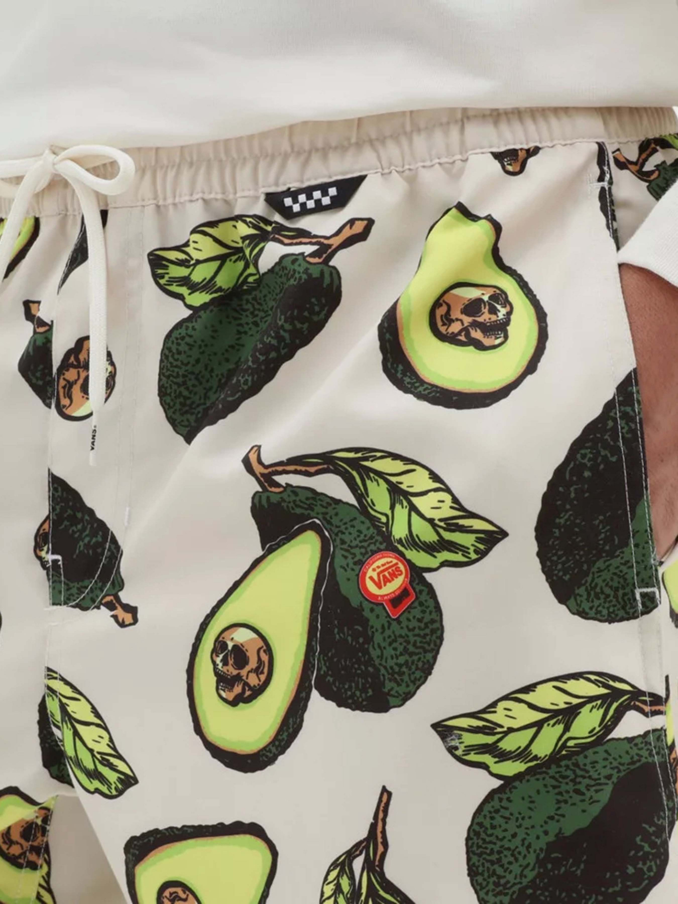 Шорты для плавания Vans Primary Print Elastic модель VN0008KUZHJ1 Фото