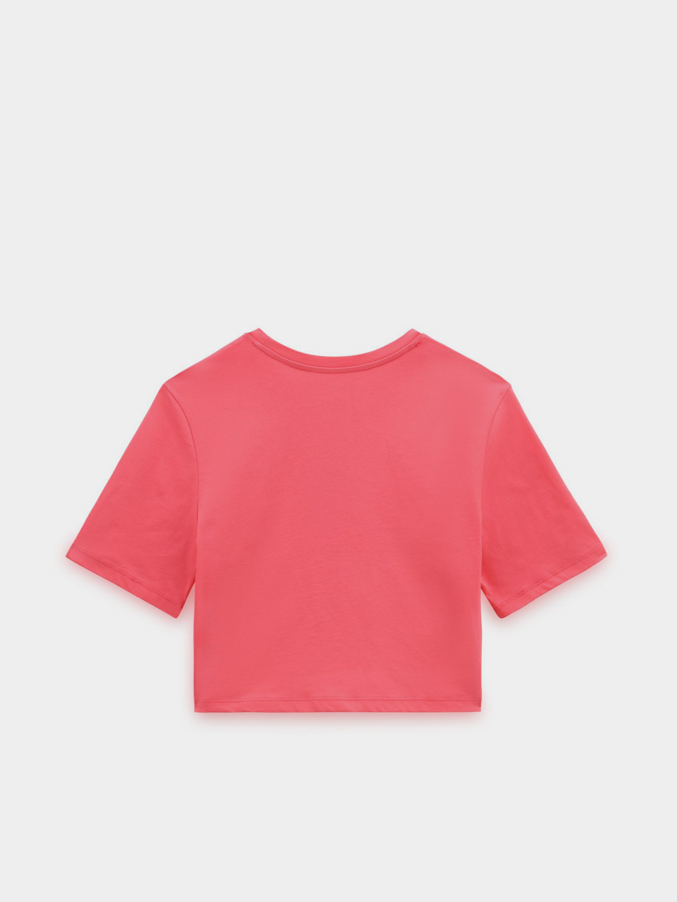 Футболка Vans Flying V модель VN0A54QUSNQ1 Фото