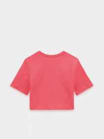 Футболка Vans Flying V модель VN0A54QUSNQ1 Фото