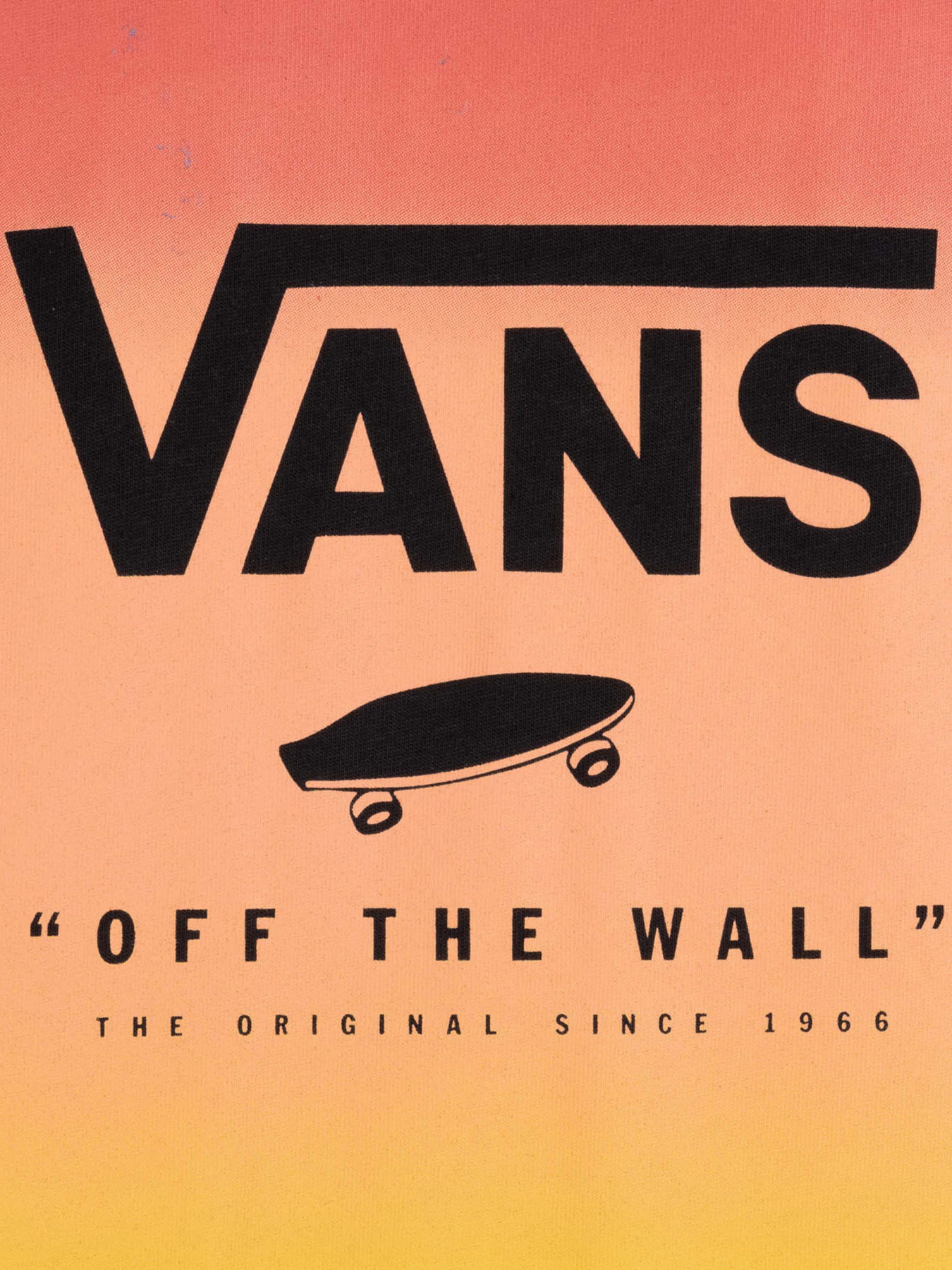 Футболка Vans Classic Print Box модель VN0A5E7YZ0T1 Фото