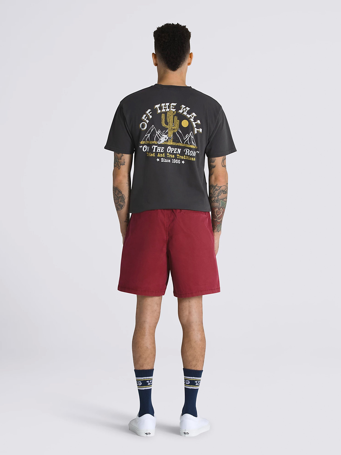 Шорти спортивні Vans Range Salt Wash Relaxed Elastic модель VN0A5FKCBQS1 Фото