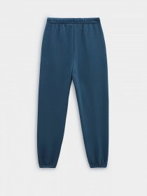 Штани спортивні Vans ComfyCush модель VN0A7ROXBR41 Фото