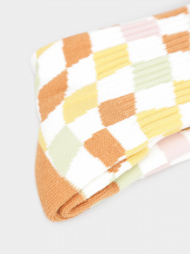 Носки Vans Skate Sesh Crew 31,5 - 36 модель VN000AE6OC21 Фото