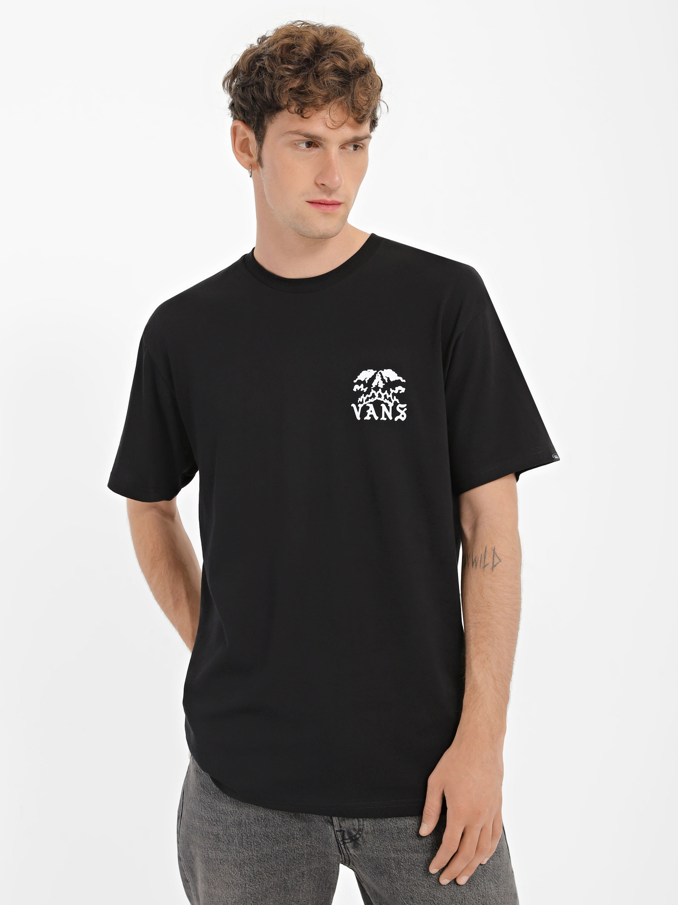 Футболка Vans Doom Volcano модель VN0008SHBLK1 Фото