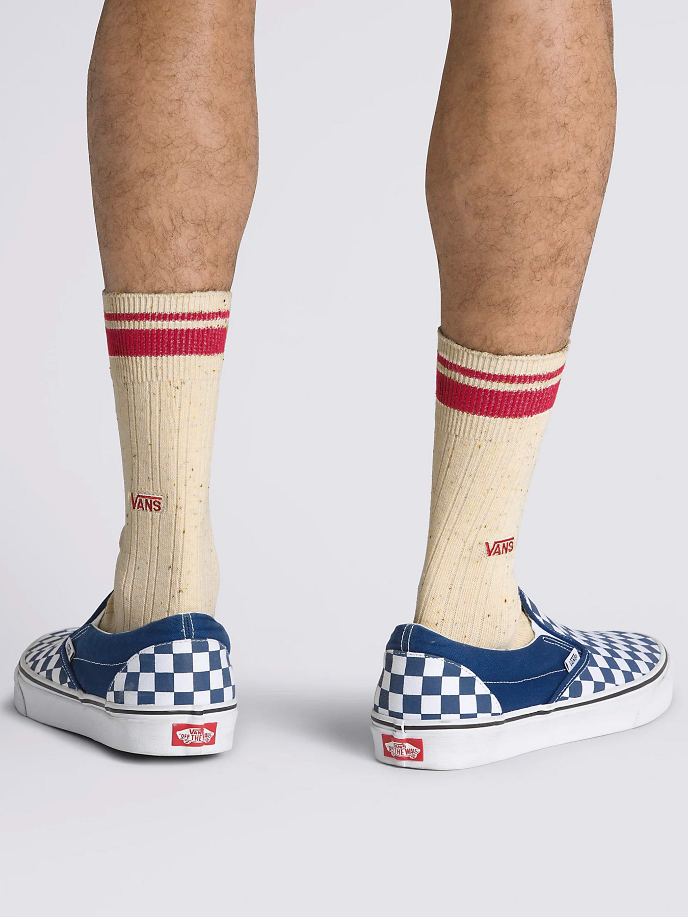 Шкарпетки Vans Classic Crew модель VN0008NM3KS1 Фото