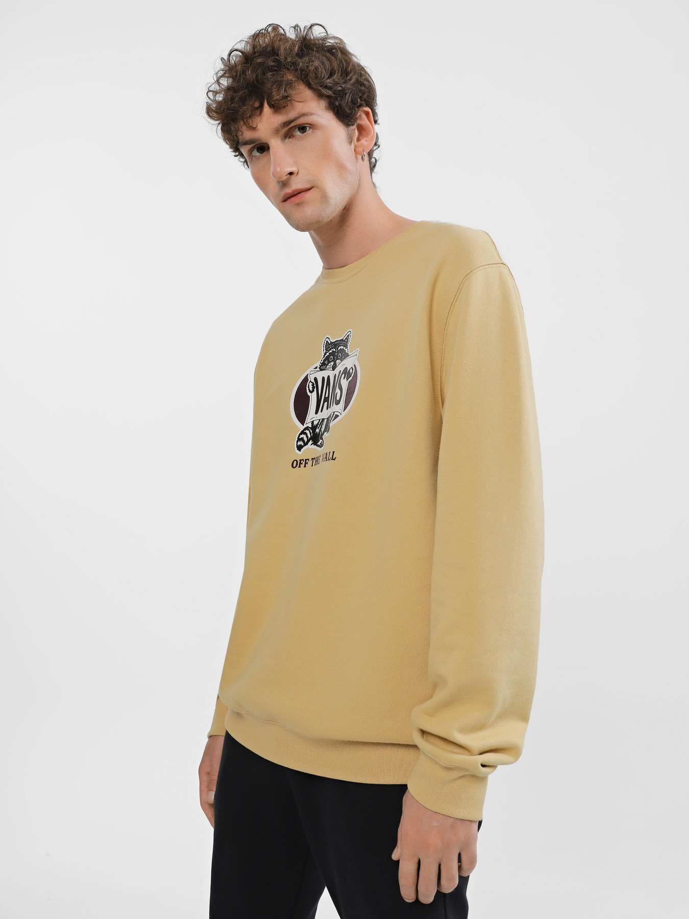 Свитшот Vans Racks Crew TAOS модель VN0008HVYUU1 Фото